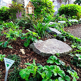NaturRuh-Areal auf dem Buschey-Friedhof